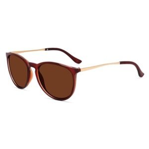 Liza Angles Black Unisex Adult Round Sunglass Explore the Pinnacle of Style with Trending Round Sunglasses